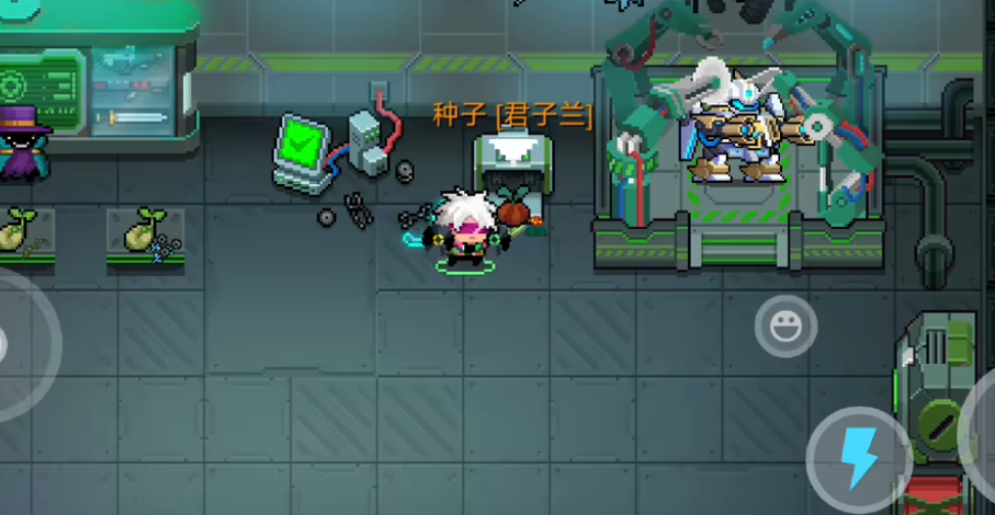 元?dú)怛T士君子蘭有著什么作用