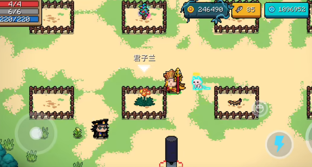 元?dú)怛T士君子蘭有著什么作用