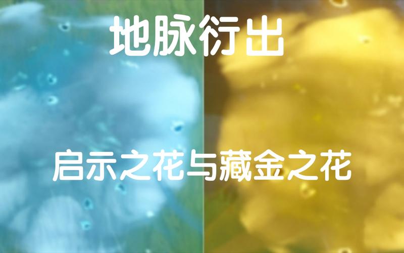 原神啟示之花值得刷嗎