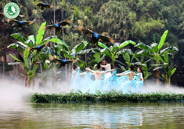倩女手游聯(lián)動(dòng)西雙版納原始森林公園，免費(fèi)旅拍招募中