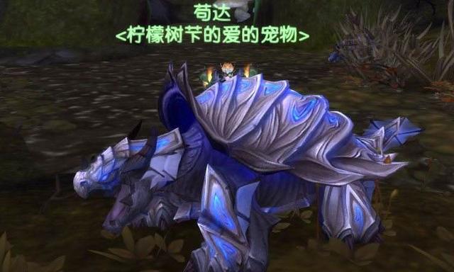 tbc10級獵人寶寶推薦