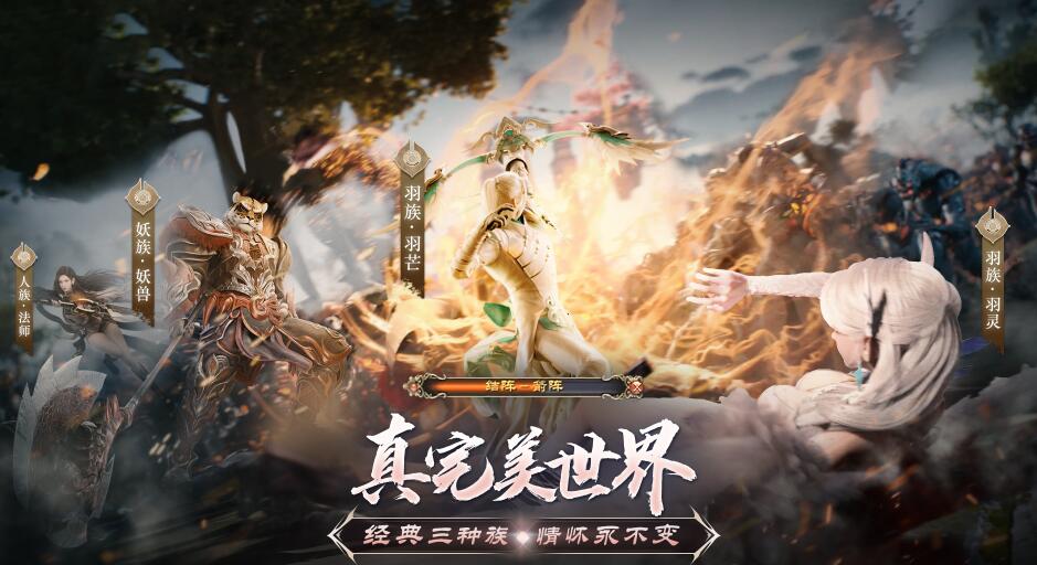 QQ截圖20240718154125.jpg
