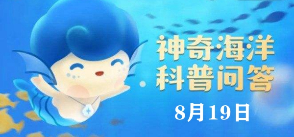 神奇海洋今日答案8.19：海星是魚類嗎