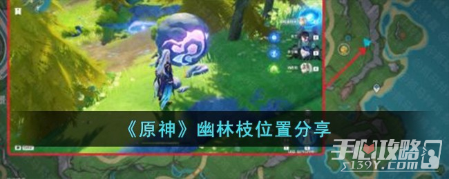 《原神》幽林枝位置一覽