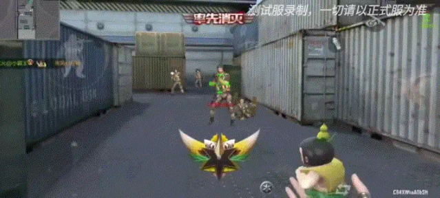 9.jpg