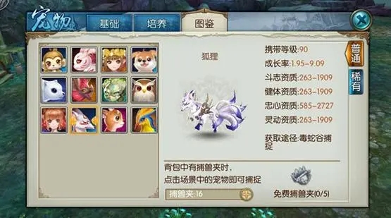 誅仙手游稀有狐貍技能怎么加點