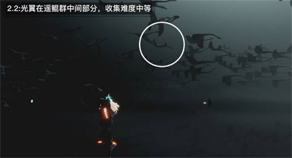 光遇破曉季光翼位置在哪里